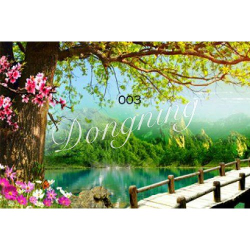 舞台布幕-092