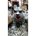 老虎裝